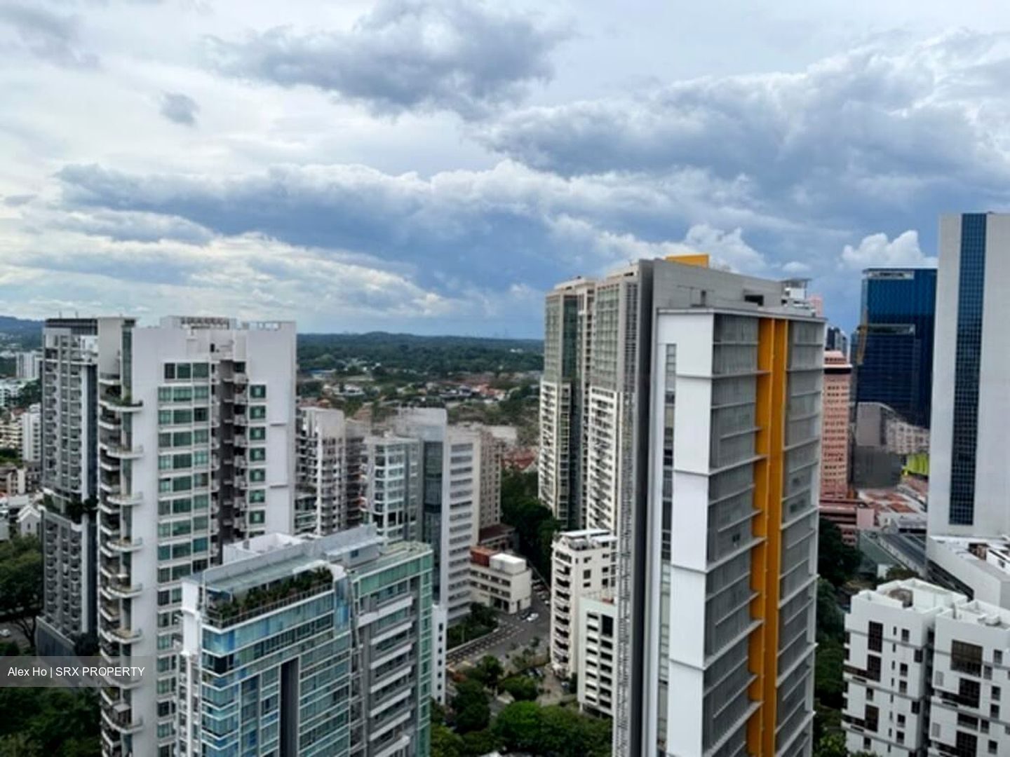 Park Infinia At Wee Nam (D11), Condominium #460692861